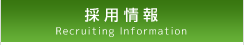 採用情報